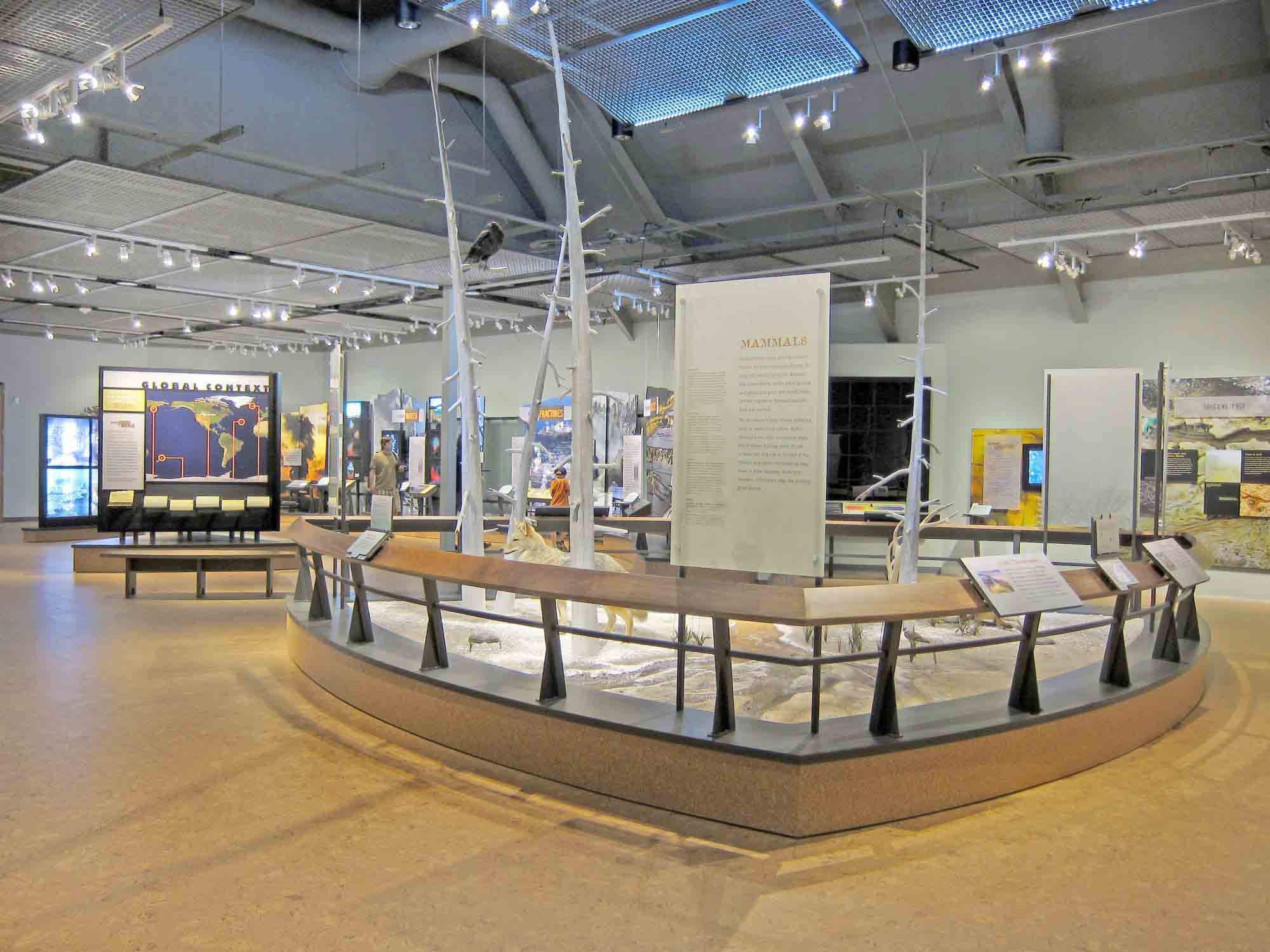 Designer Wire Mesh in the ceiling panels at Old Faithful Visitor Education Center within Yellowstone National Park.