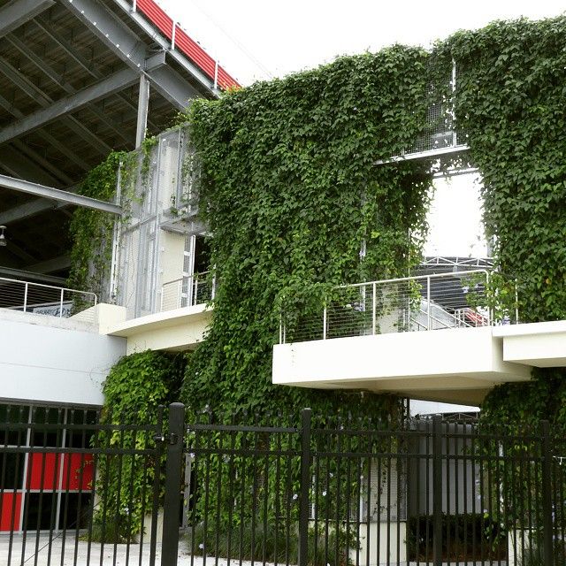 FAU's football stadium uses ECO-MESH® to create an eye-catching green wall.