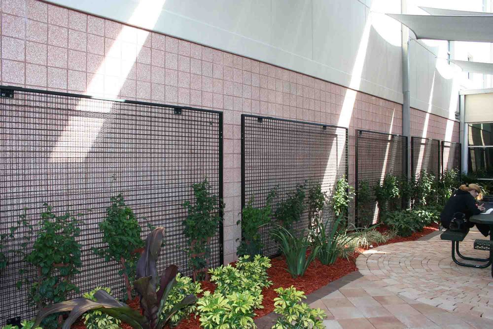 Tampa Preparatory School utilizing ECO-MESH® panels to bring a green environment near their lunch tables.