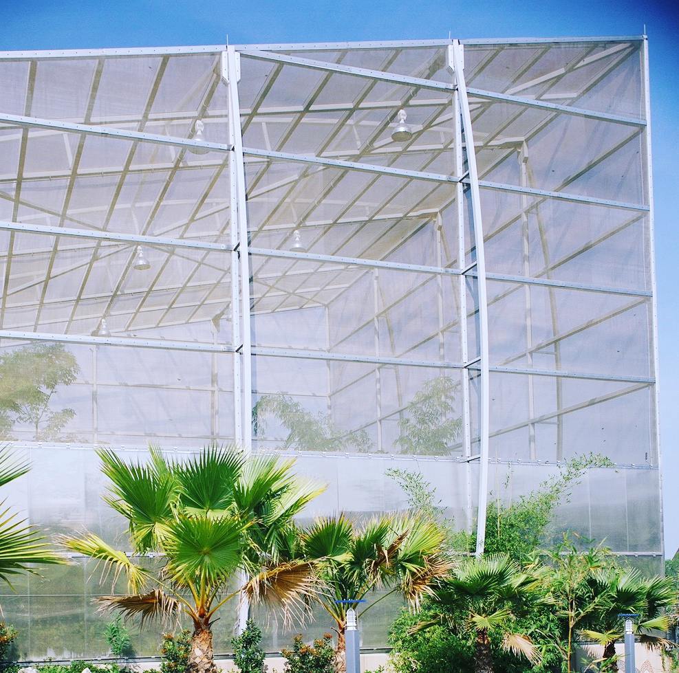 Wire Mesh used to create a ventilated enclosure for the "Butterfly Rainforest" at the Florida Museum of Natural History.