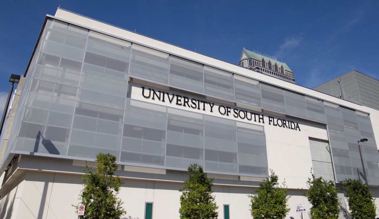 In Downtown Tampa, an assortment of different types of Perforated Metal cladded onto the side of a USF building, used to create lighting effects.