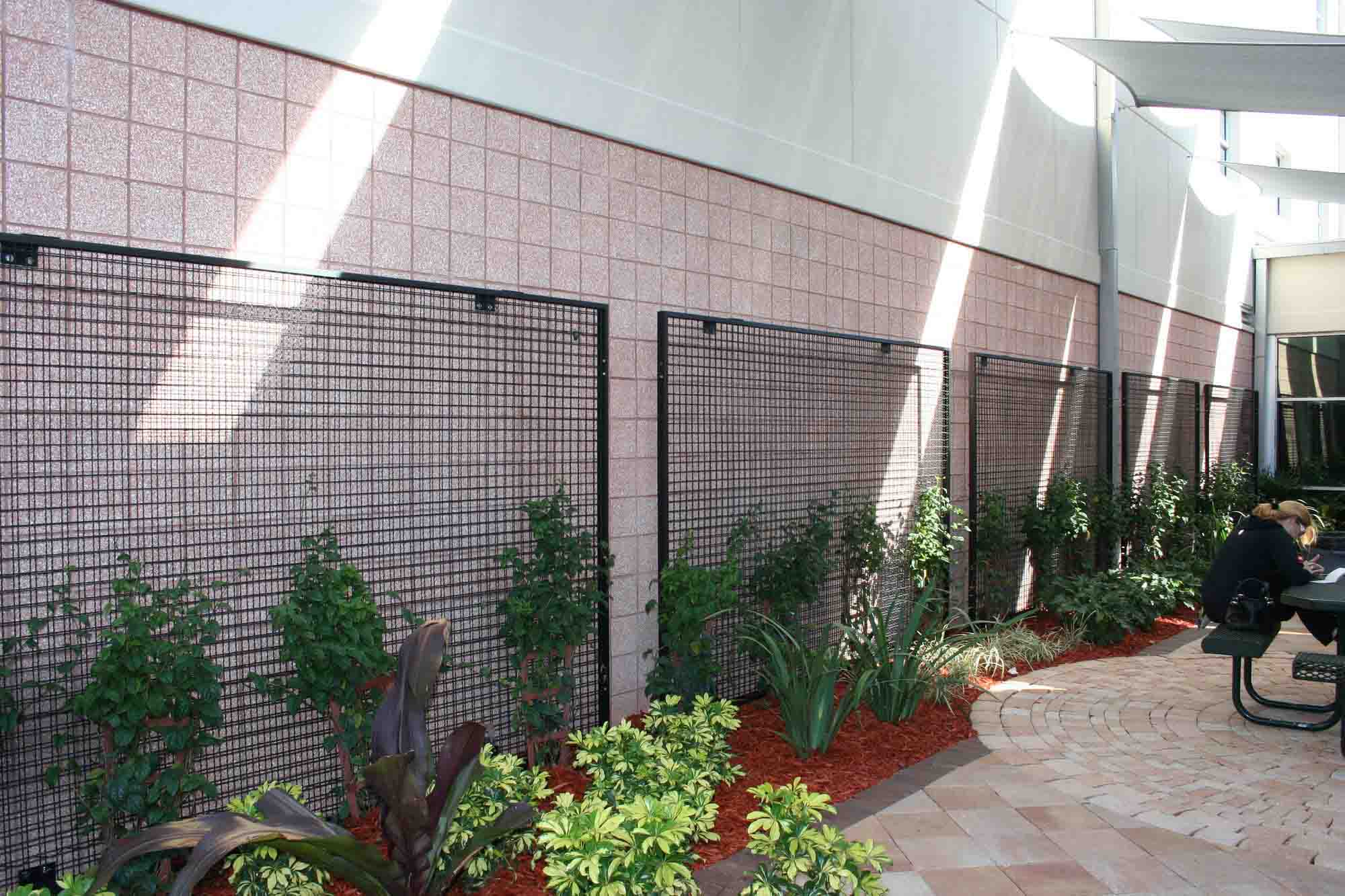A courtyard with vines growing up a wall with ECO-MESH®.