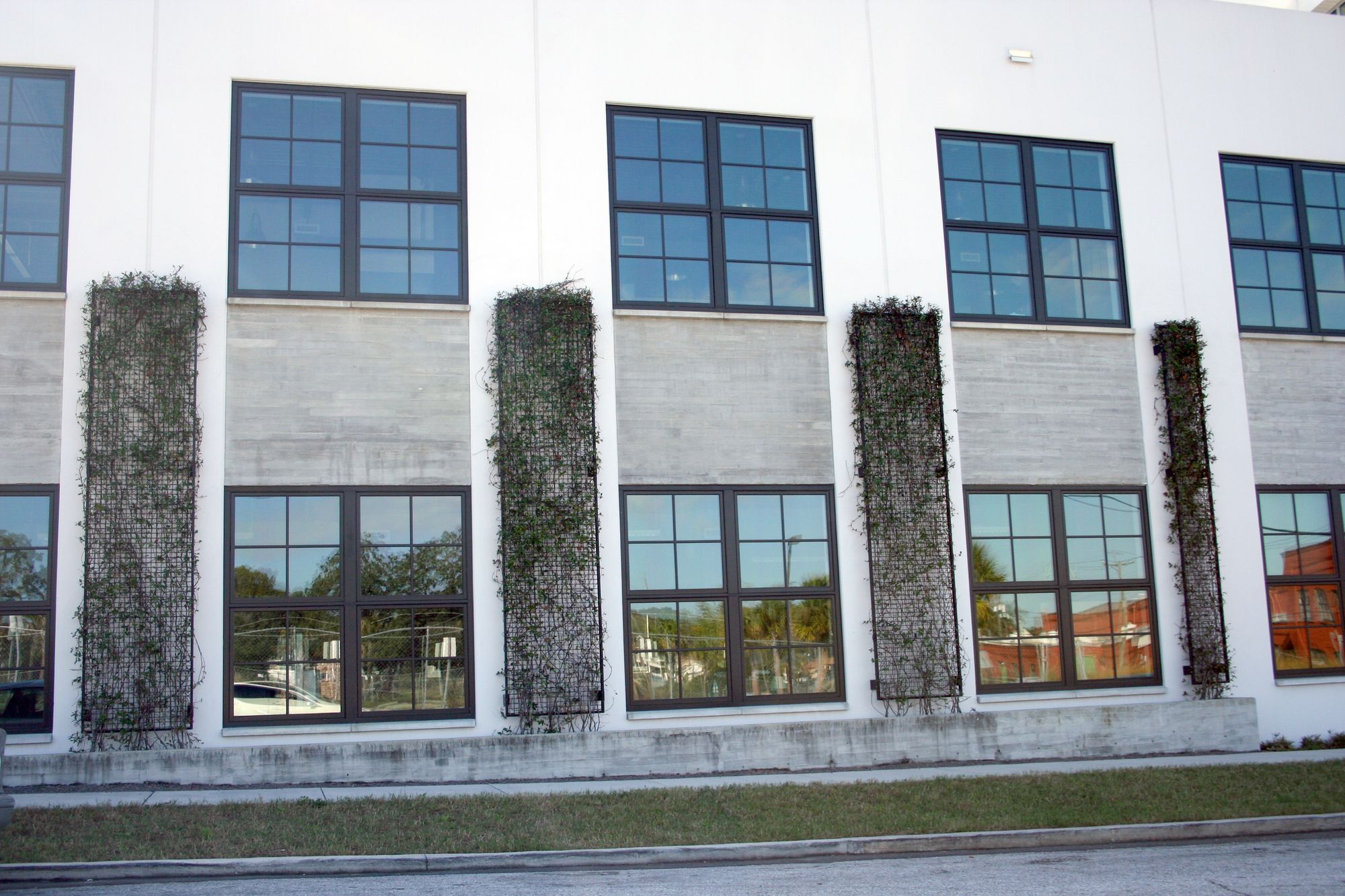 Vines growing on ECO-MESH® walls on the outside of a building.