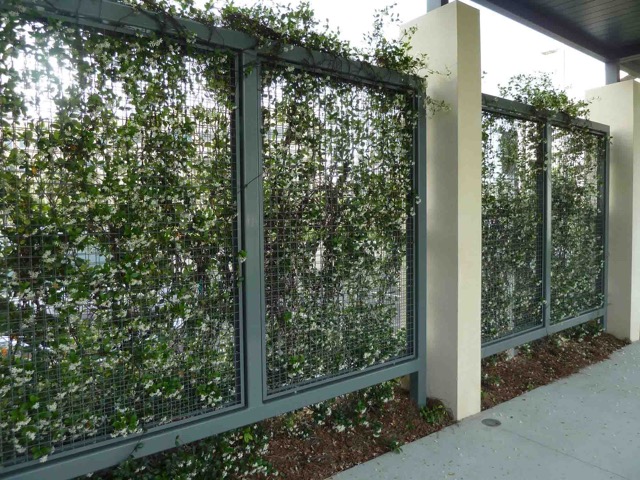 A living plant wall made possible because of ECO-MESH®.