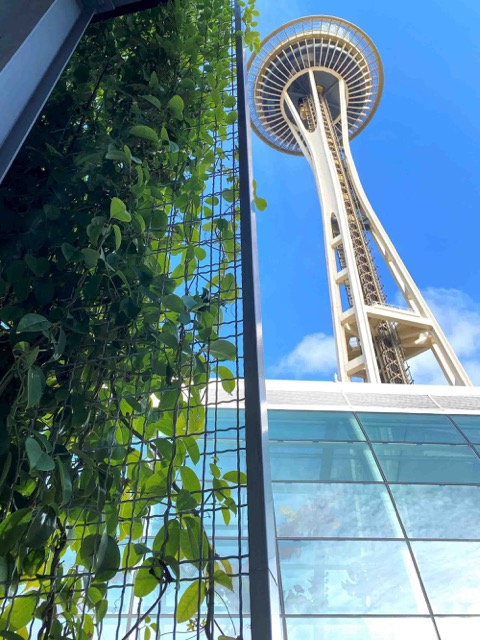 The Seattle Space Needle from below, next to an ECO-MESH® panel.