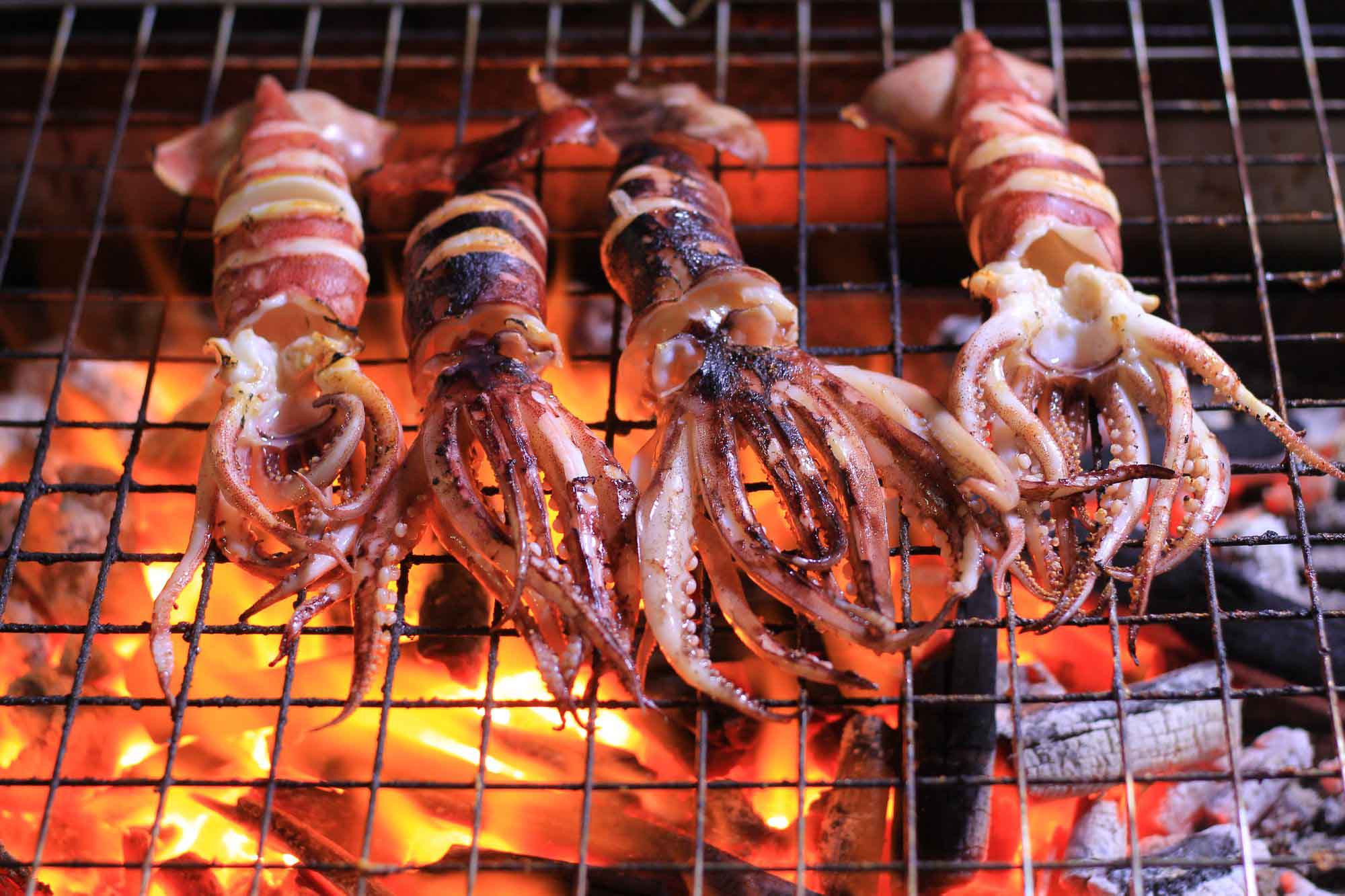 Squid cooking on top of a Welded Wire Mesh grill grate.
