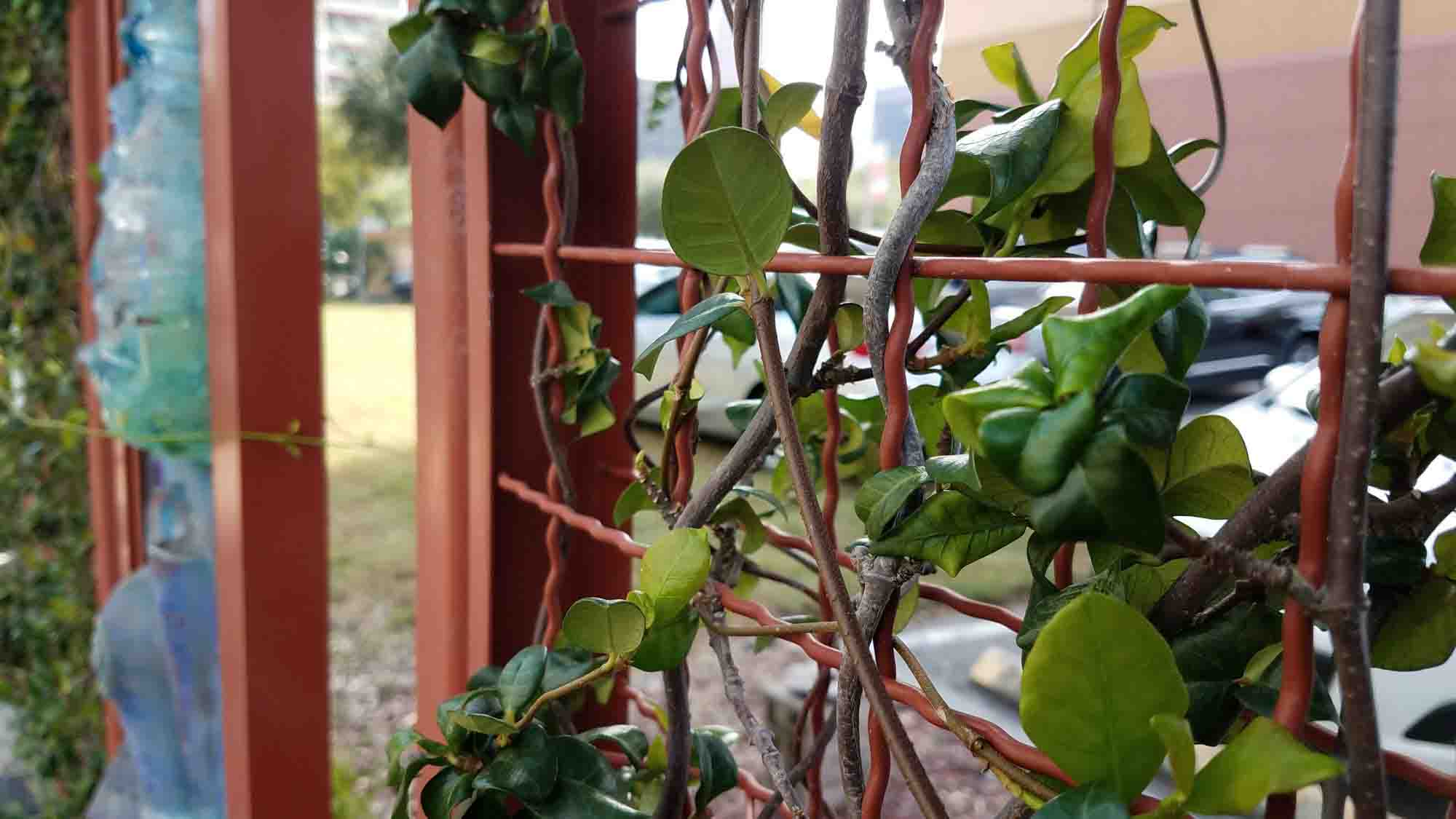 A close-up photo of Woven Wire Mesh that has been painted a red/orange color and has vines growing throughout.