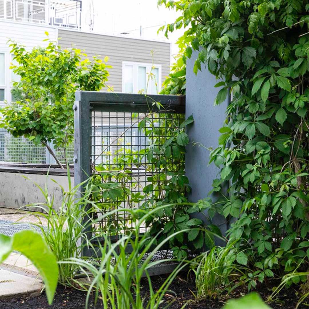 An architectural application of Wire Mesh used to create an infill panel in a garden/outdoors area.