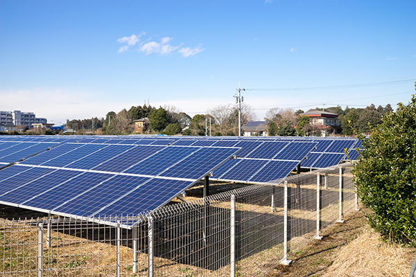 An image of Wire Mesh fencing surrounding a solar panel farm.